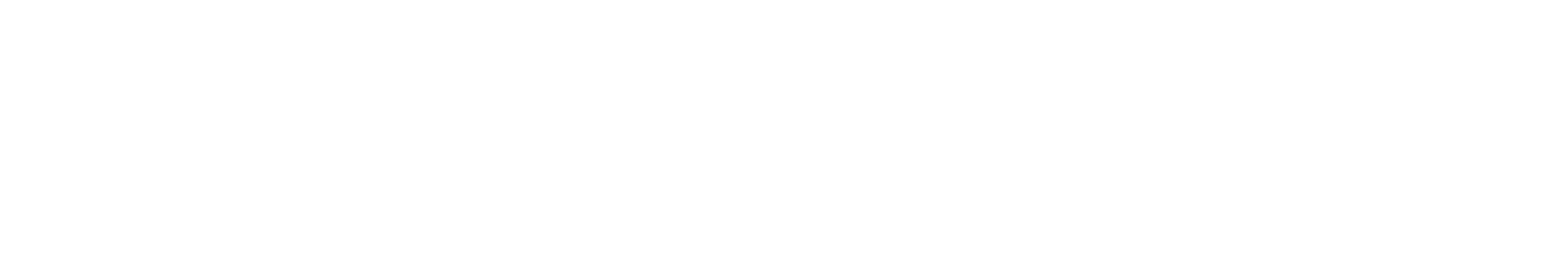 Advance System Logo